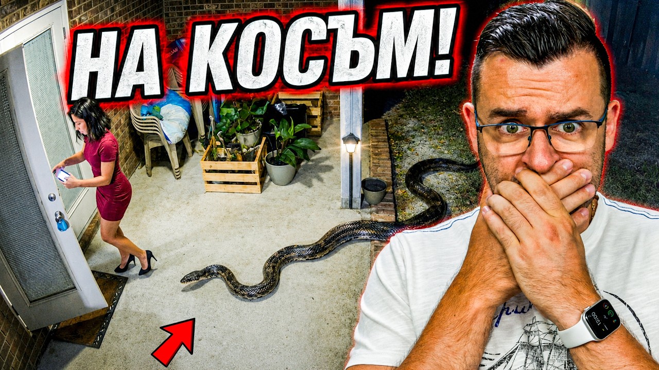 Най-страшните срещи с диви животни на камера