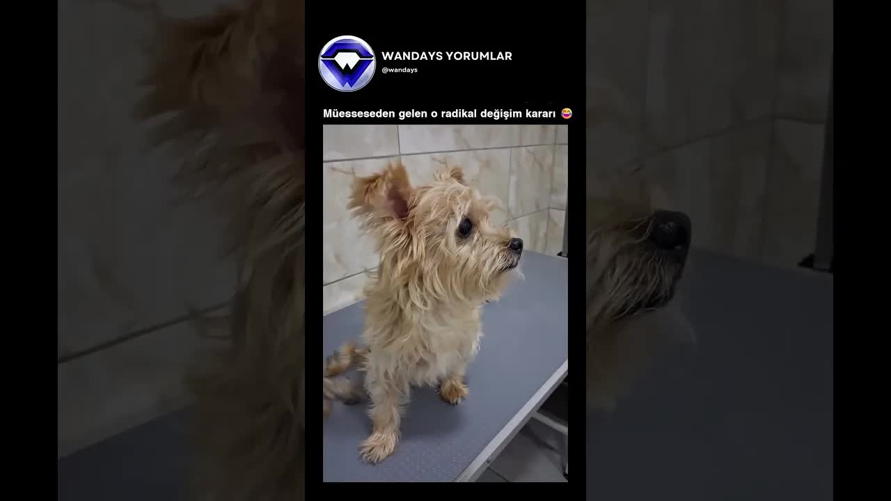 Tüyler Gidince 3 Kilo Verdi