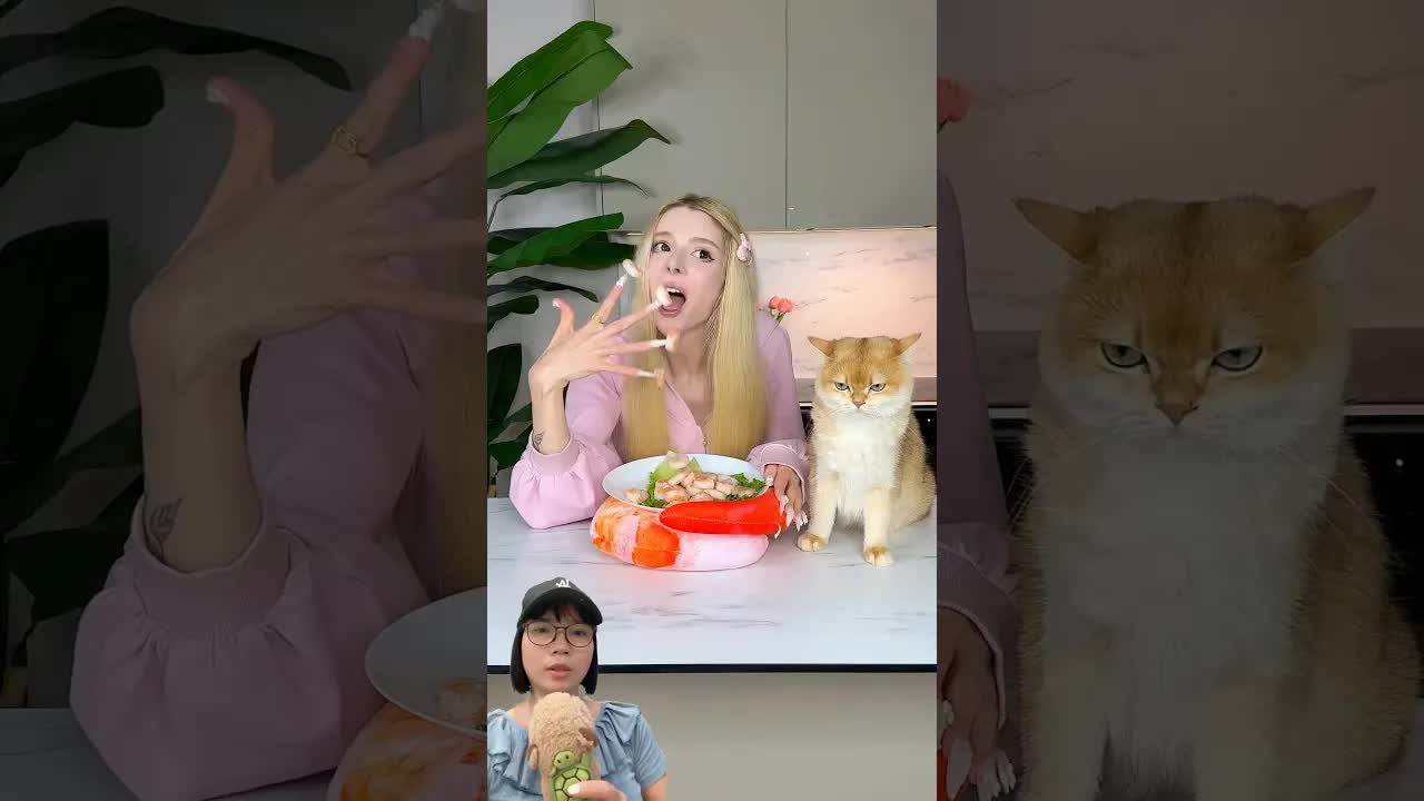 Mèo Con Muốn Ăn Tôm Cùng Chị