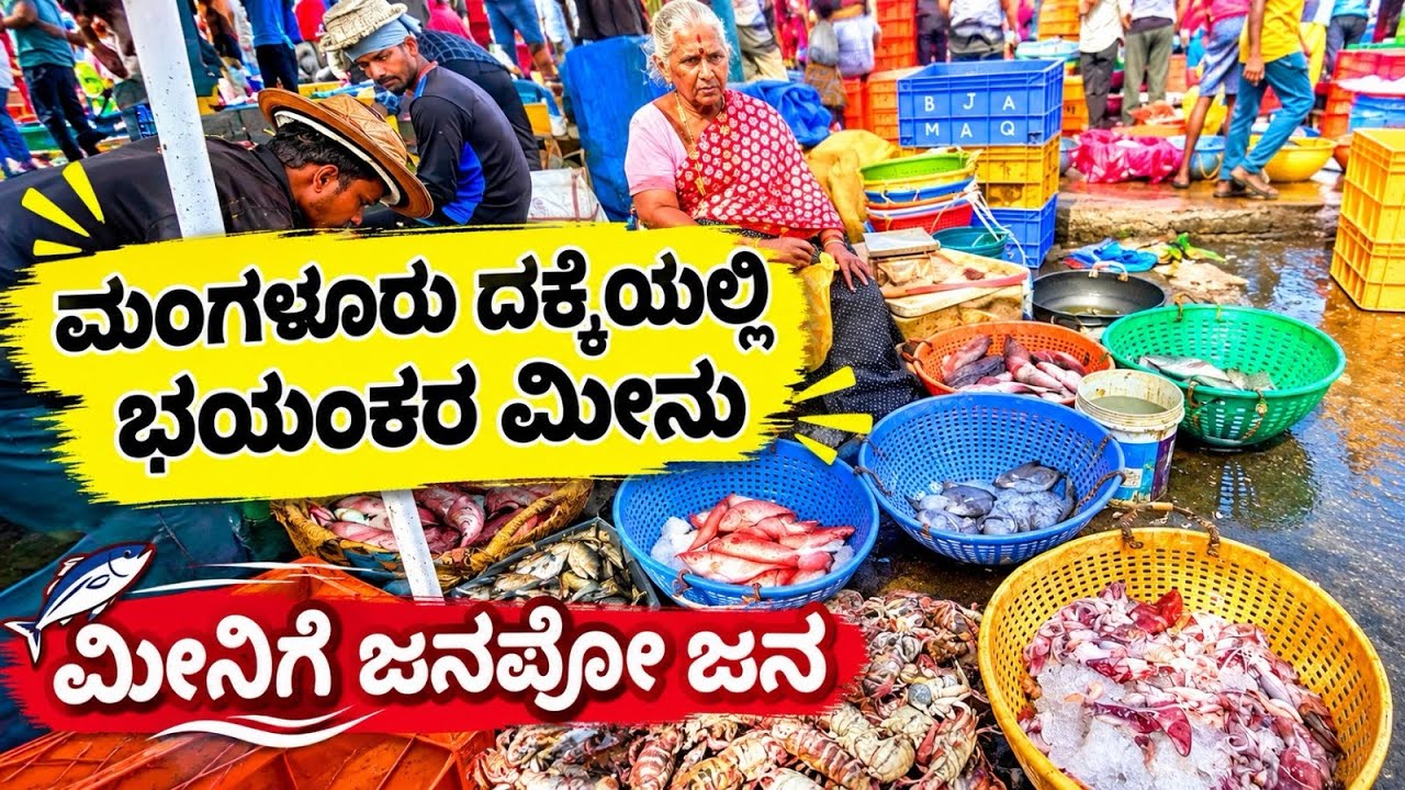 ಮಂಗಳೂರು ದಕ್ಕೆಯಲ್ಲಿ ಮೀನು ಖರೀದಿ ವಿಹಾರ