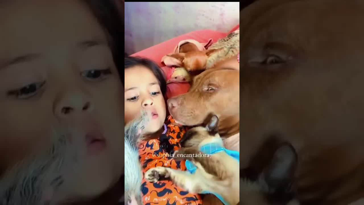 A menina encantadora de animais