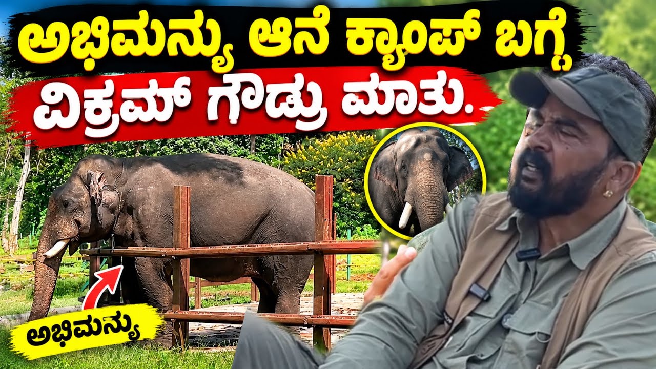 ಅಭಿಮನ್ಯು ಆನೆ ಕ್ಯಾಂಪ್ ಬಗ್ಗೆ ವಿಕ್ರಮ್ ಗೌಡ್ರು ಮಾತು