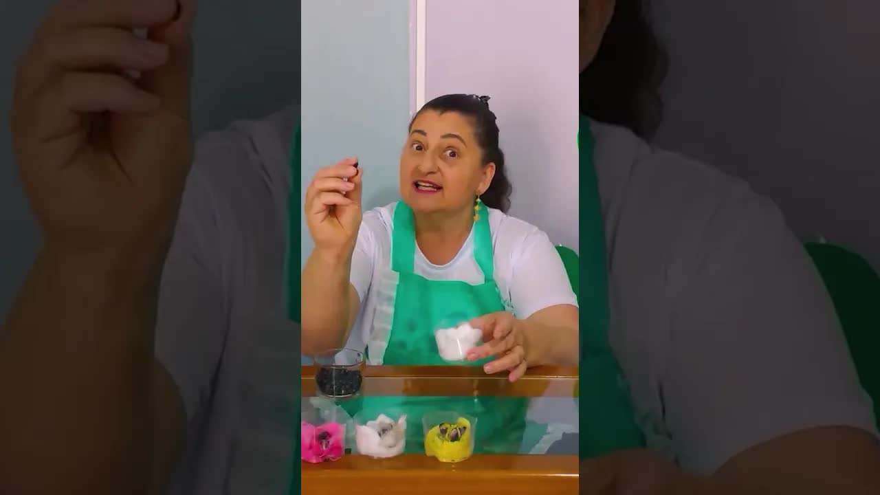 Como Plantar Feijão No Algodão Para Crianças