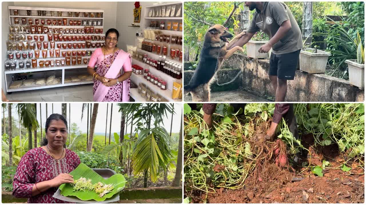 ಶಶಿ ಕಿಚನ್‌ನ ಮಣ್ಣಿನ ಭಾಜನ ಮತ್ತು ಕಾರ್ ಕ್ಲೀನಿಂಗ್ ವಿಡಿಯೋ