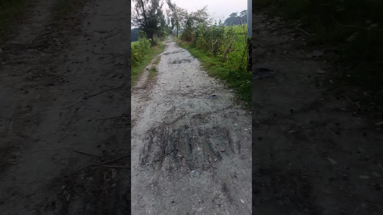 গ্রাম বাংলার পরিবেশ ও জীবনযাত্রা