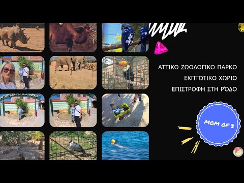 Βόλτα στο Αττικό Ζωολογικό Πάρκο και μετά το χειρουργείο