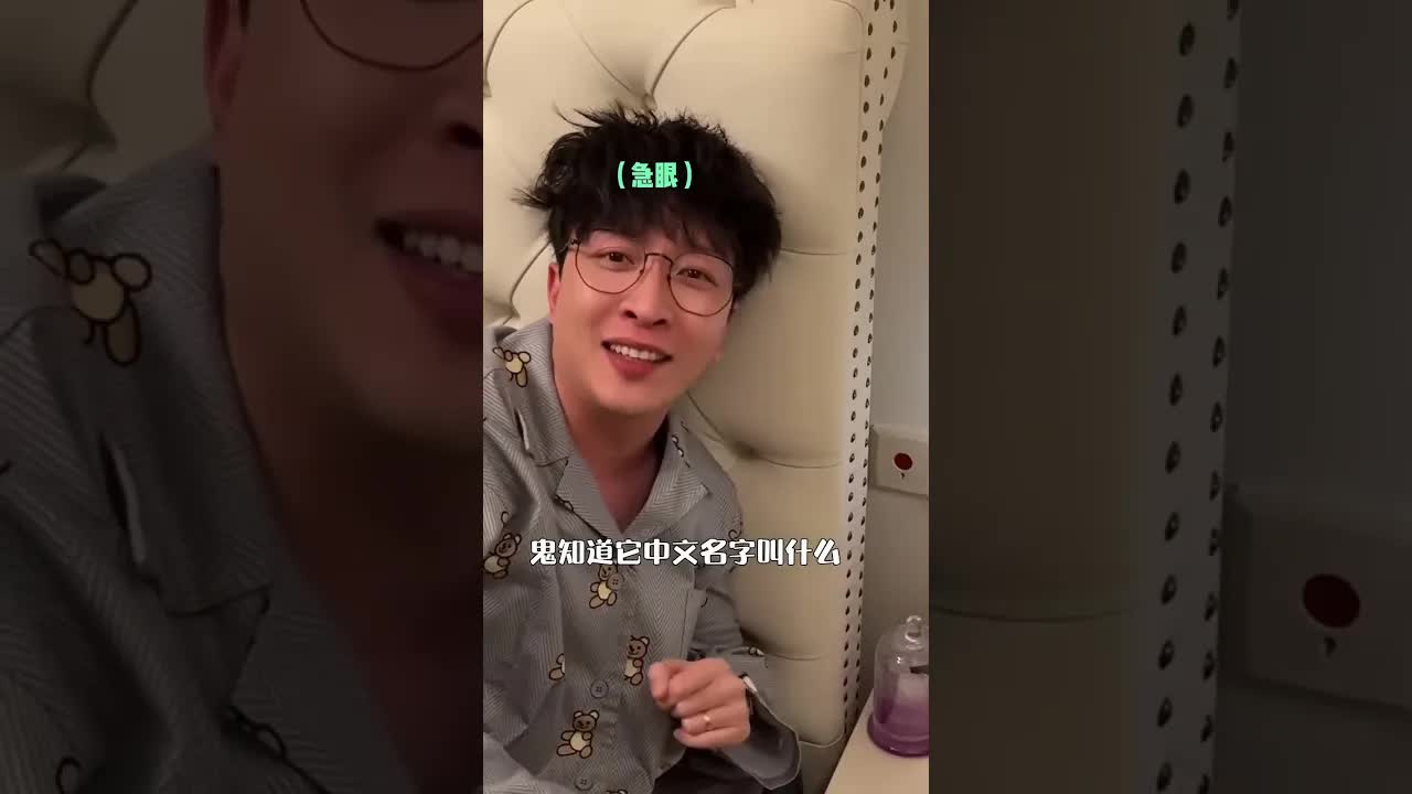 声控灯只认凯蒂猫的名字
