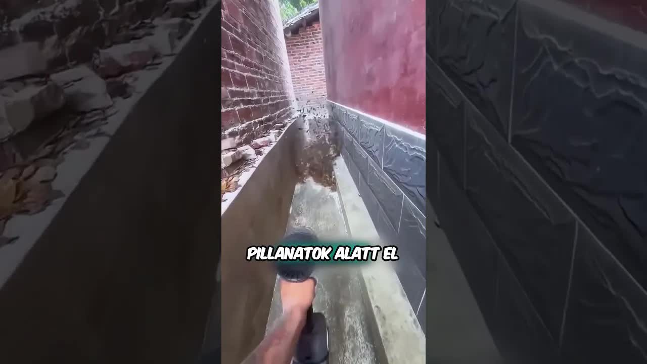A fiú bemutatja a lombfúvót az apának