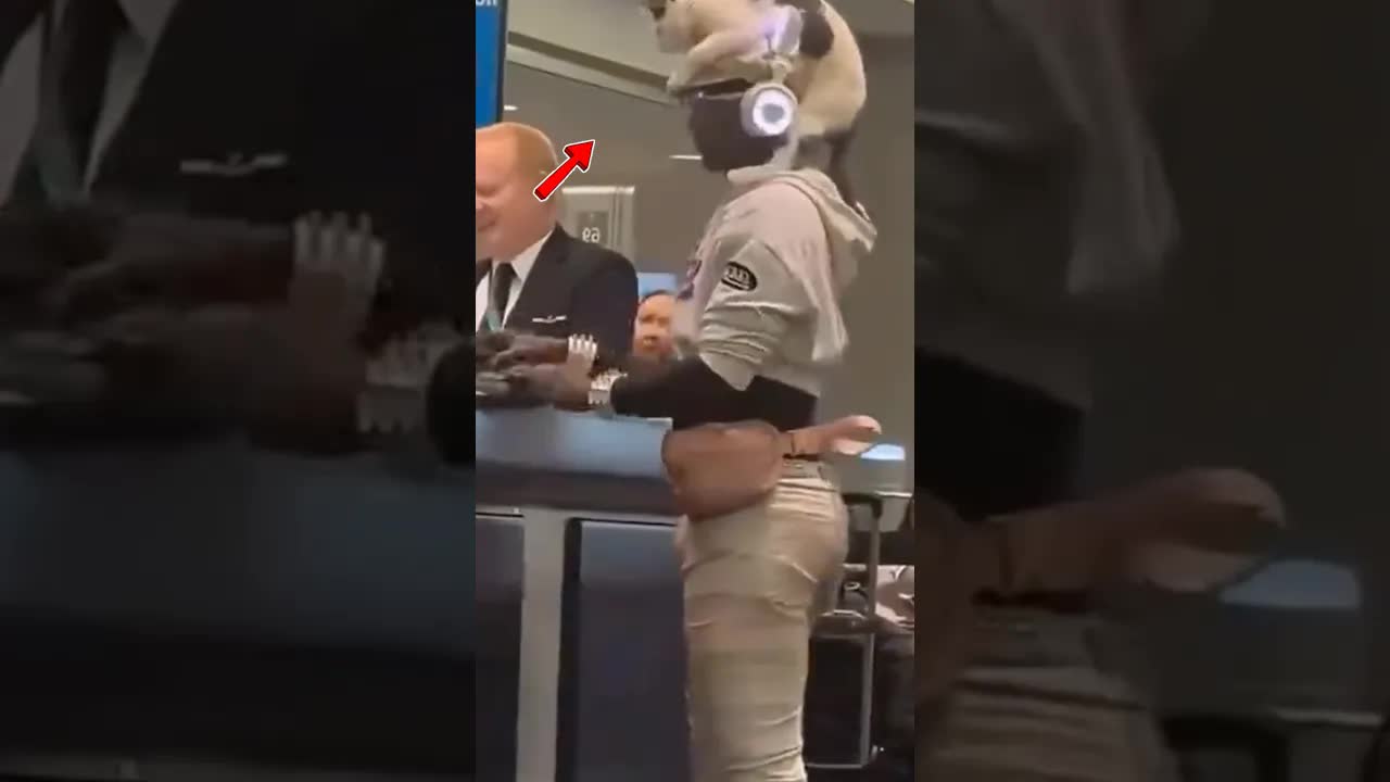Nő macskát csempész repülőre sapkaként
