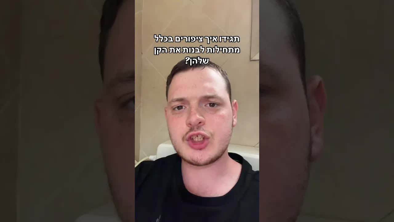 איך ציפורים בכלל מתחילות לבנות את הקן