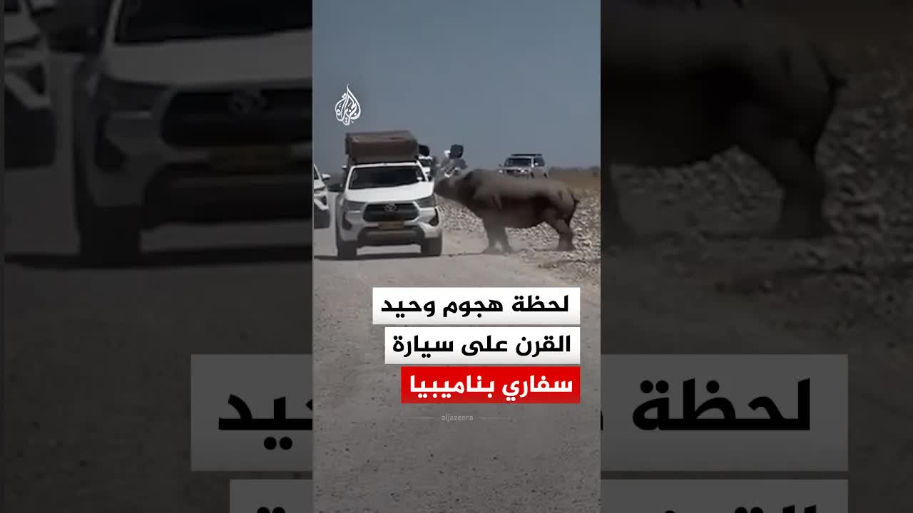 هجوم وحيد قرن هائج على سيارة سفاري في ناميبيا