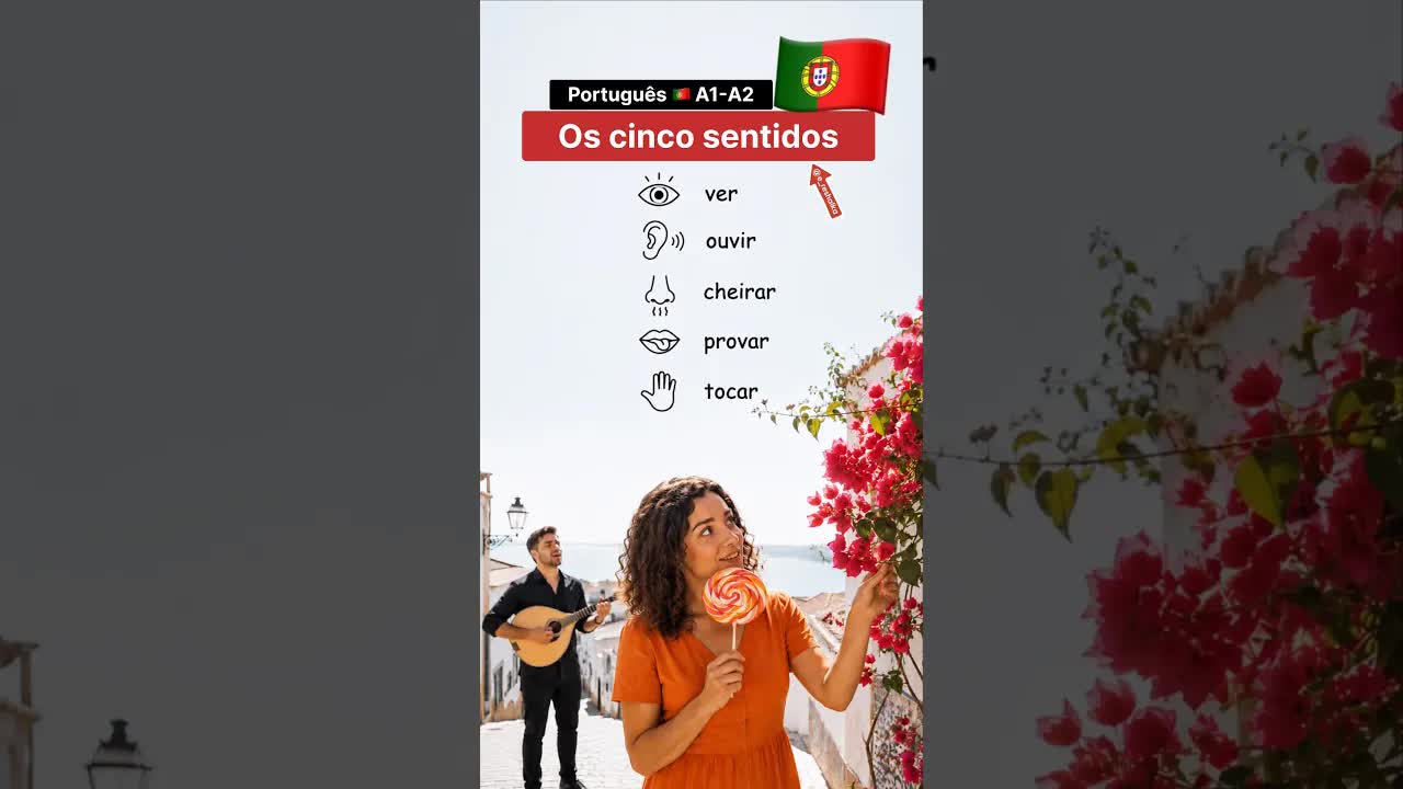 Os cinco sentidos com a Maria