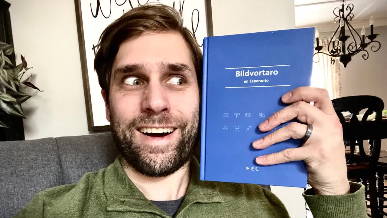 Pri la enhavo de Bildvortaro