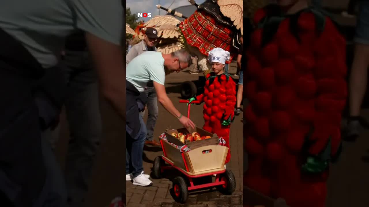 Fruitcorso in Tiel: Stilstaande wagens