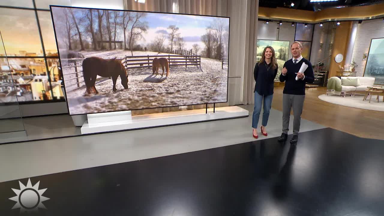 Wilmer kvalar in till Göteborg Horse Show