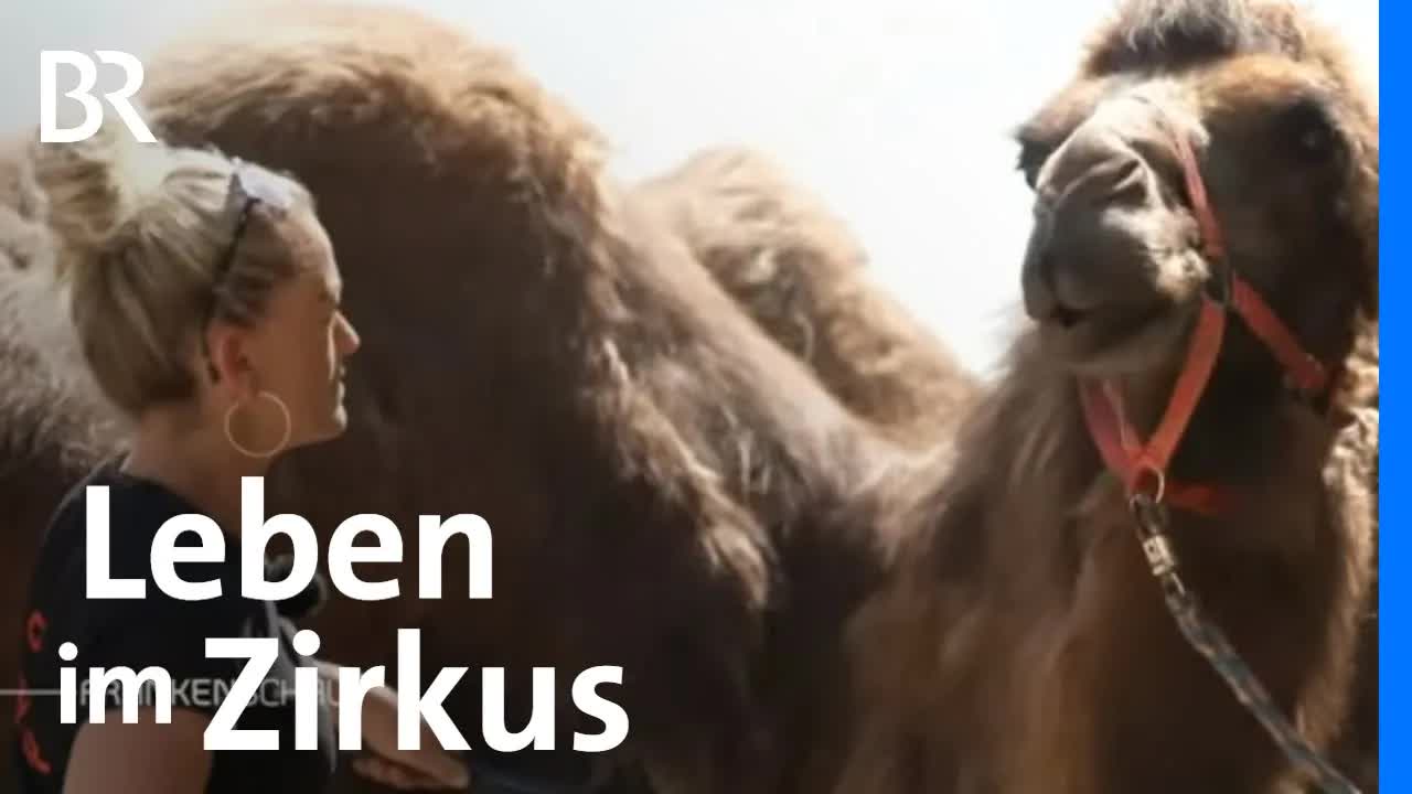 Ein Leben im Zirkus: Die Familie Schubert