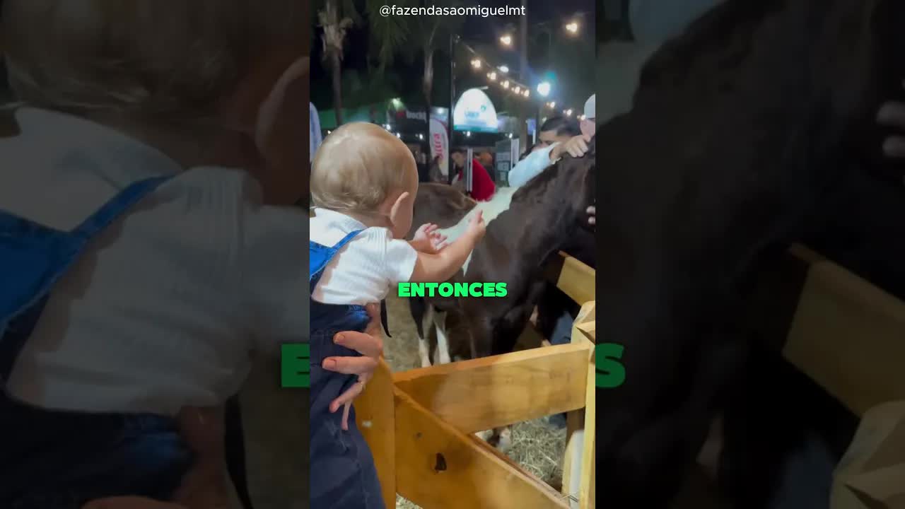Un niño conoce a un caballo por primera vez