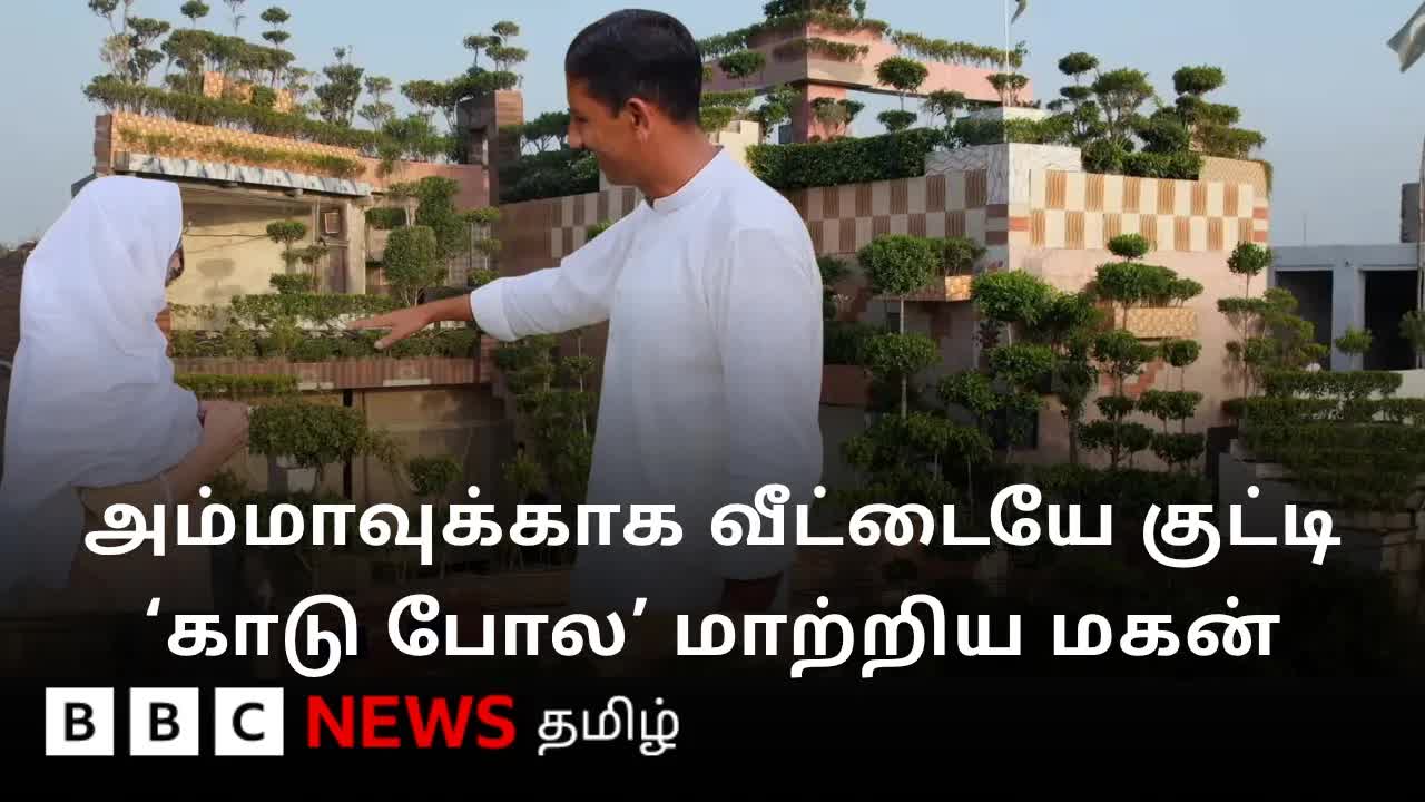 அம்மா விருப்பத்திற்காக 5,000 செடிகள் நட்ட மகன்