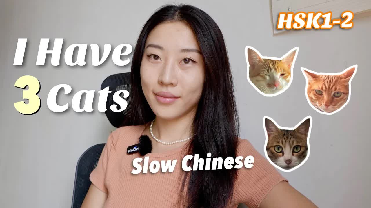 介绍我的三只猫