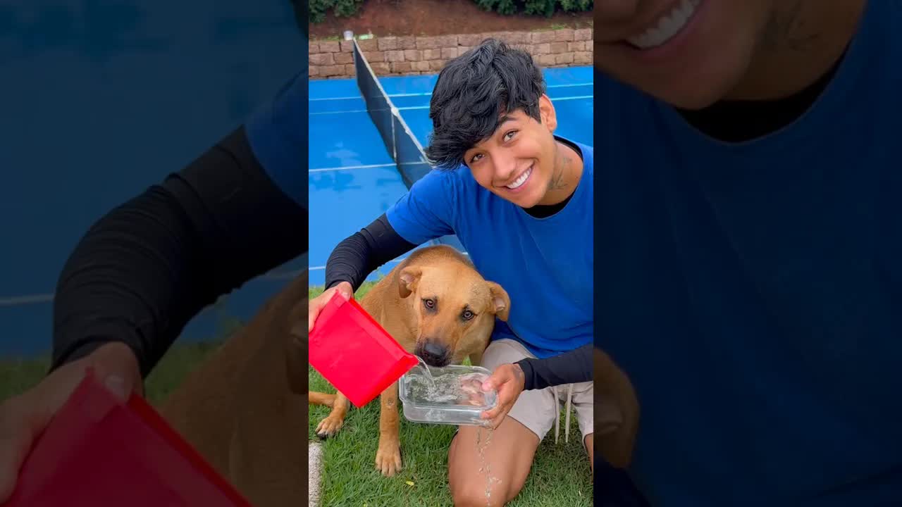 Amor por um cachorrinho encontrado na rua