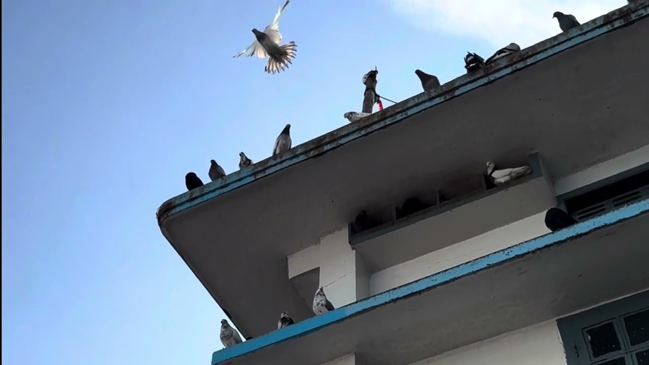 একদিনের সিলেট ভ্রমণ: ট্রেন যাত্রা ও হযরত শাহজালাল মাজার