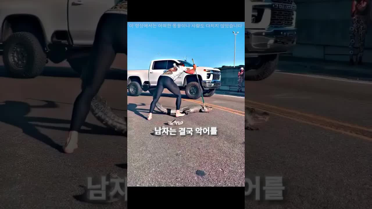 카메라에 포착된 놀라운 동물 순간들