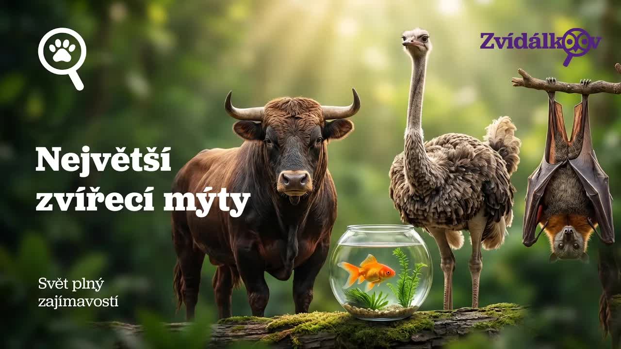 Nejznámější zvířecí mýty vyvráceny