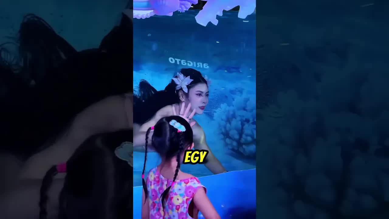 Egy sellő műsorának ára
