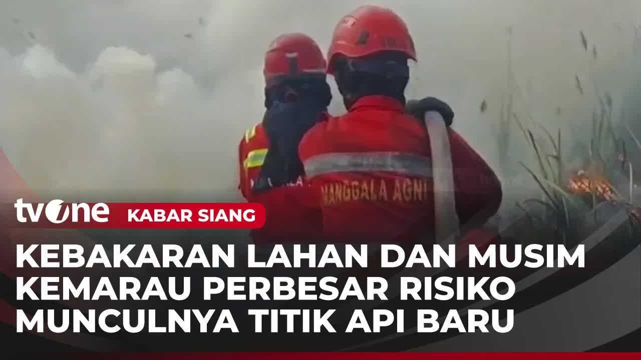 Kebakaran Hutan Meluas di Sumatera dan Dampak Asap