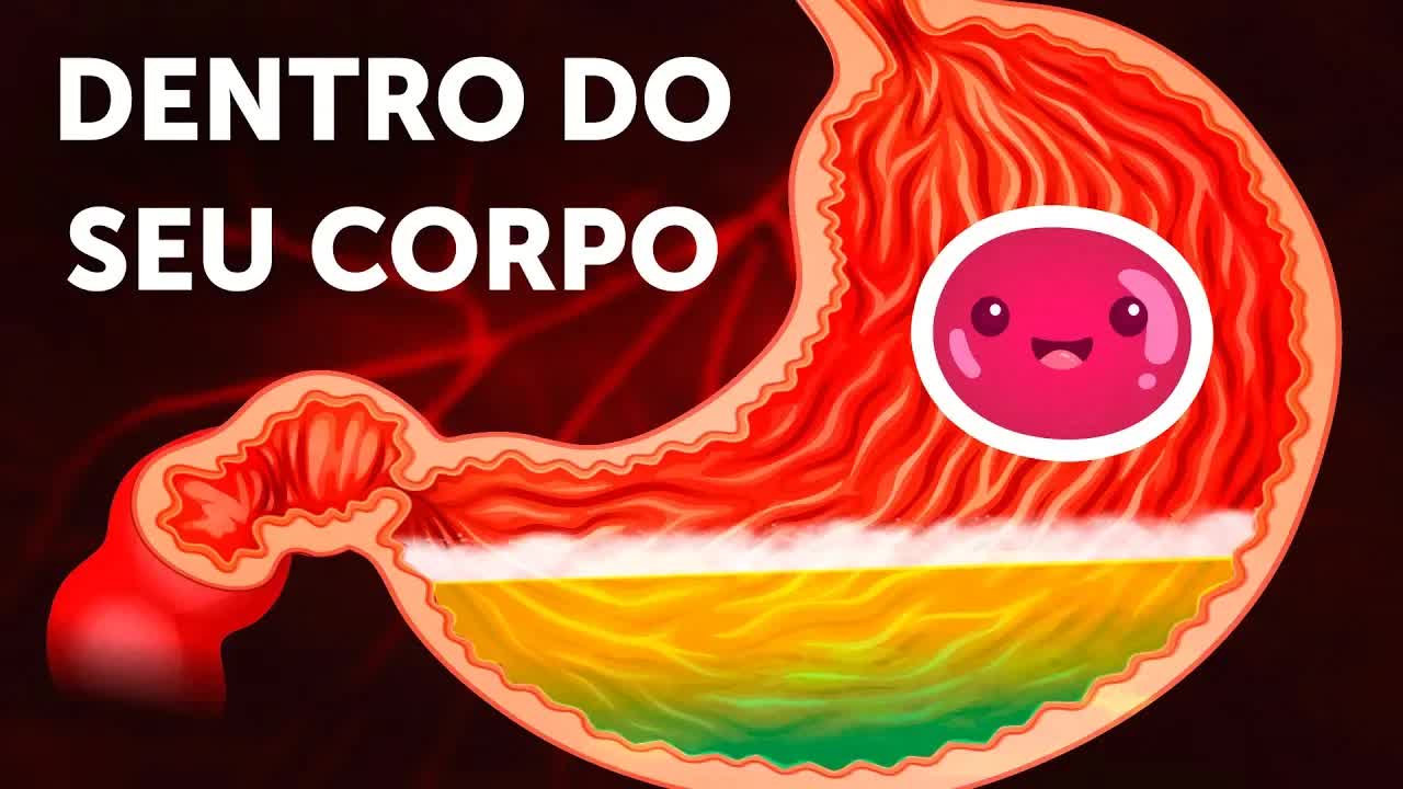 Uma Jornada pelo Corpo Humano