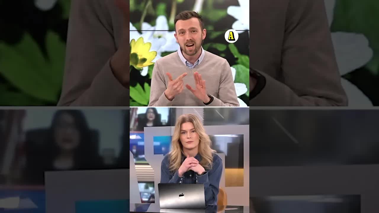 När är säkrast att söka sommarsemester?