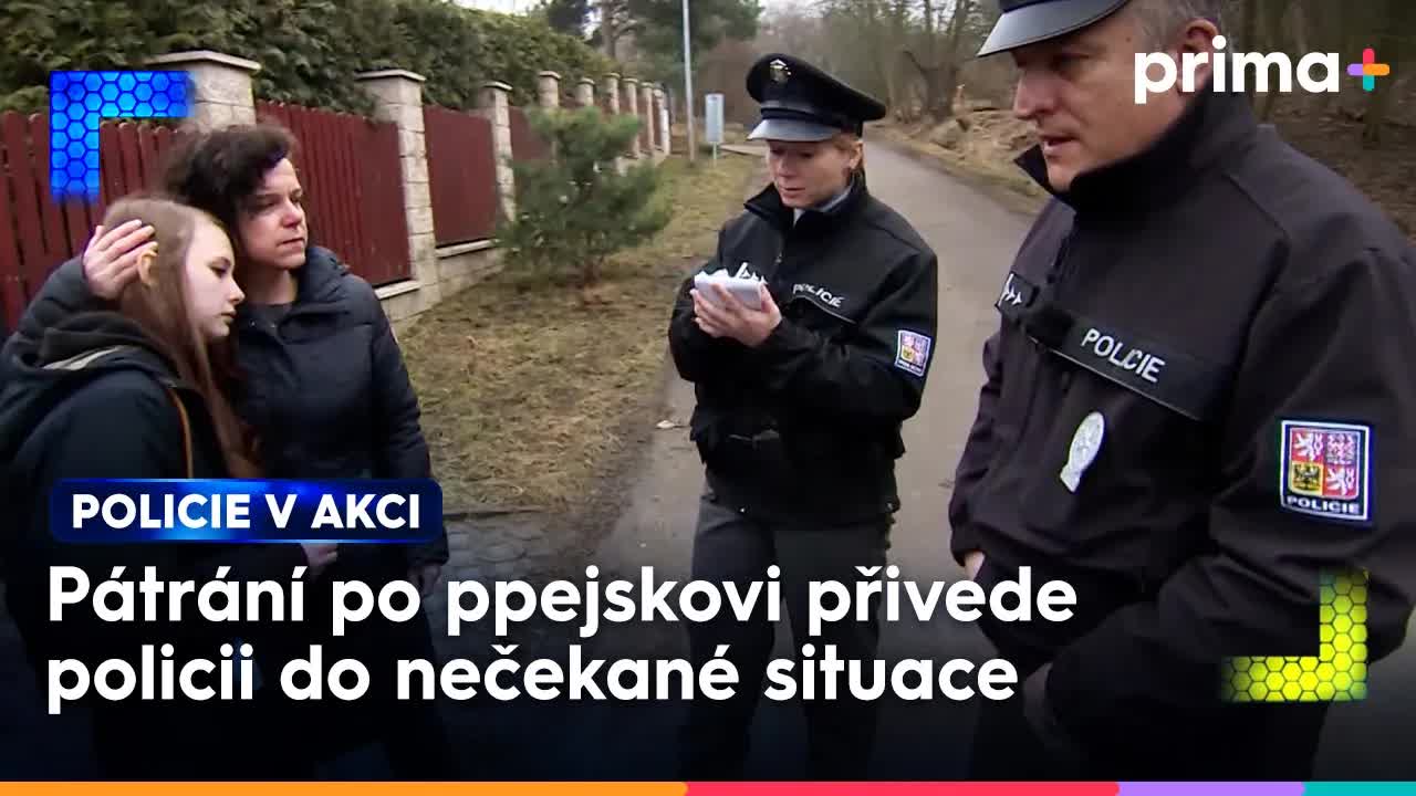 Policie řeší případ ztraceného psa Pepeho