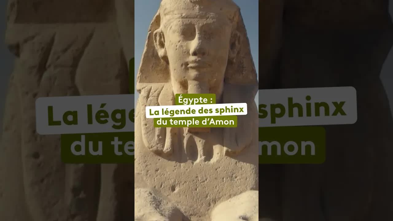 L’allée des sphinx à Louxor