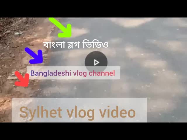 সিলেটের গ্রামের রাস্তায় হাঁটা ভিডিও ব্লগ