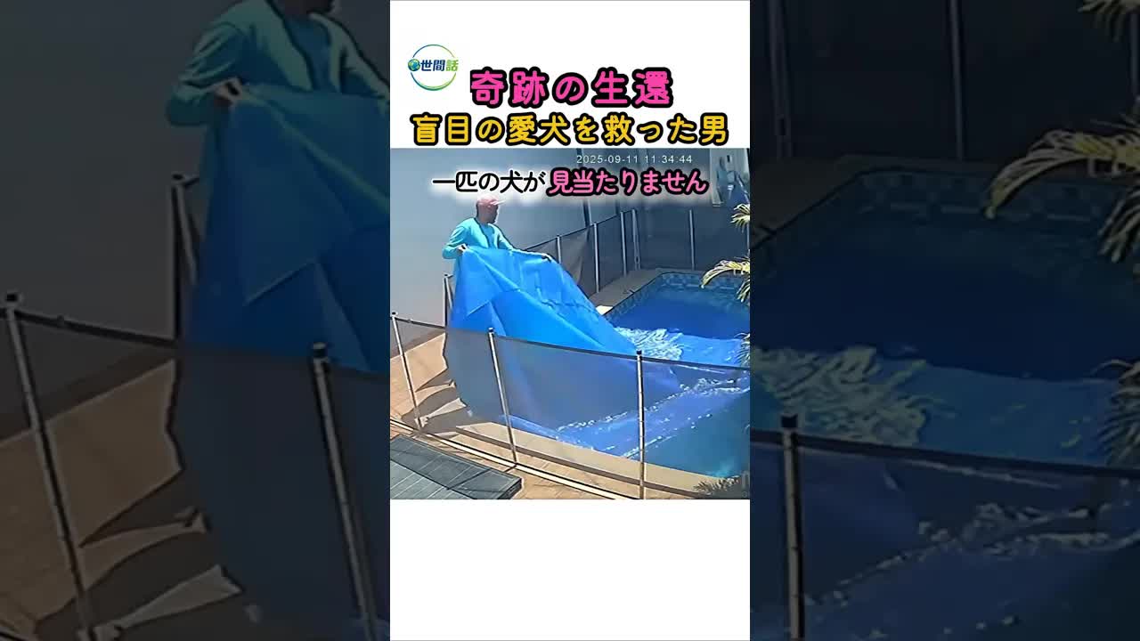 盲目の愛犬を救ったプール清掃員の奇跡