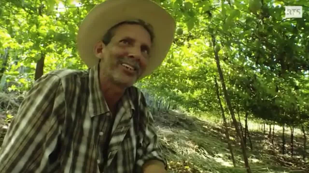Coopérative de passionniers au Honduras