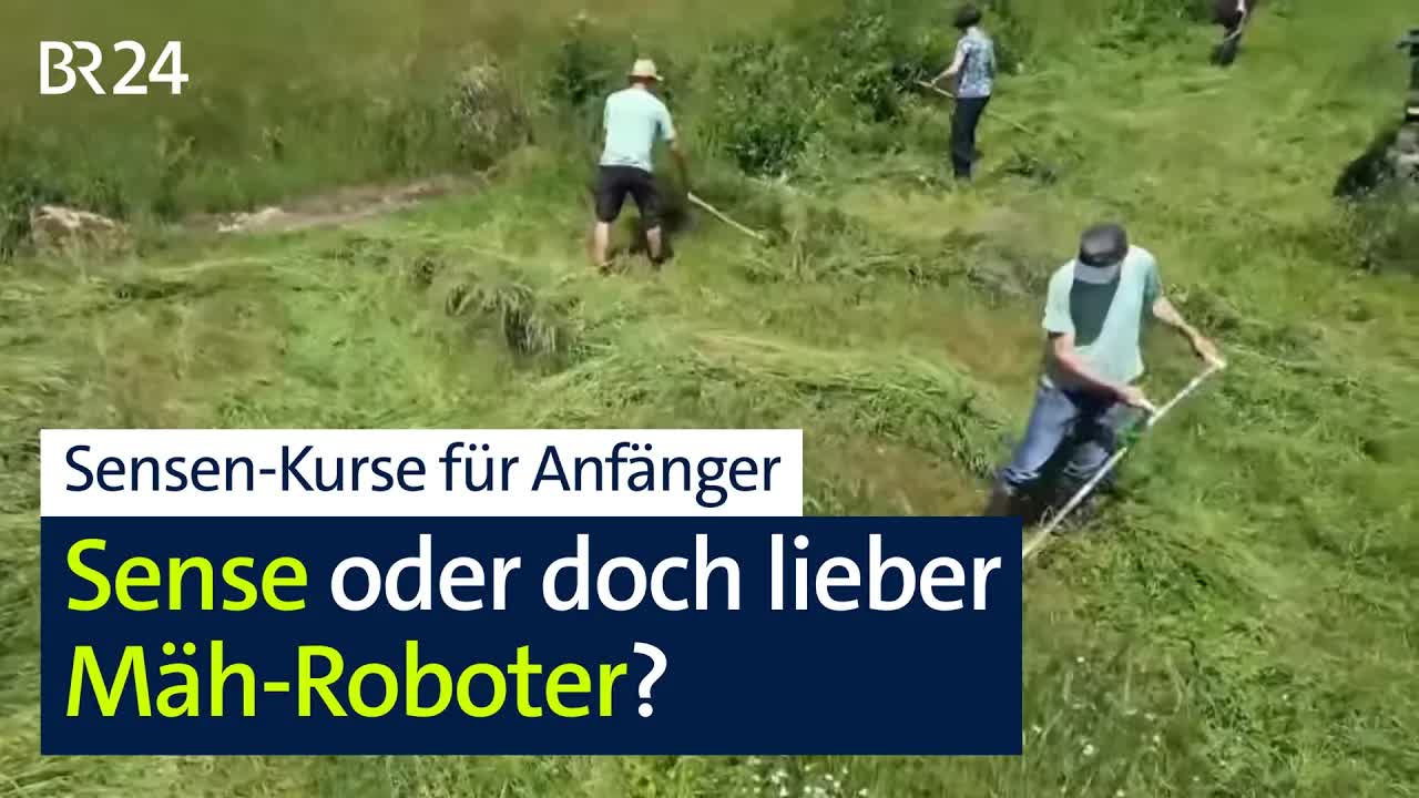 Warum die Sense wieder modern ist