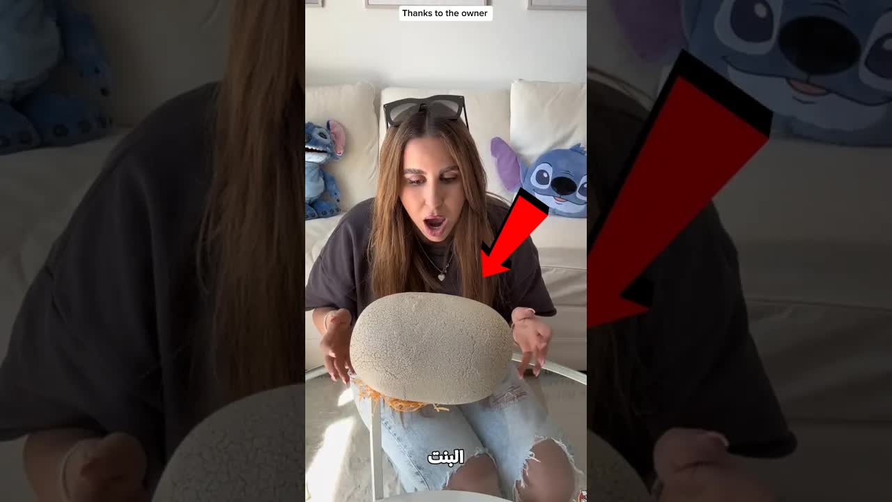 بنت لقت بيضة غريبة في الغابة وظهر منها ديناصور