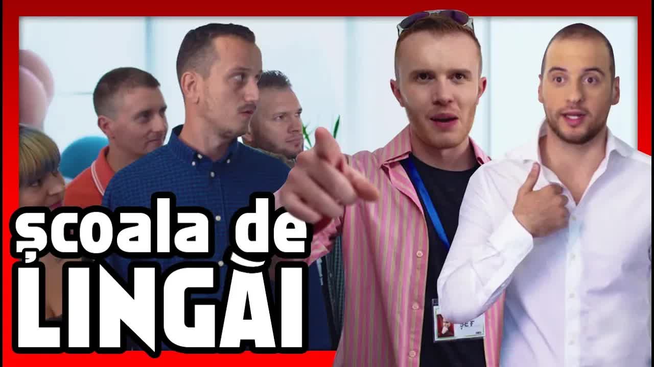 Școala de lingăi – Cum supraviețuiești la servici