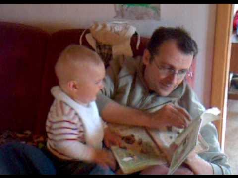 Mehemed és a háromféle tehén