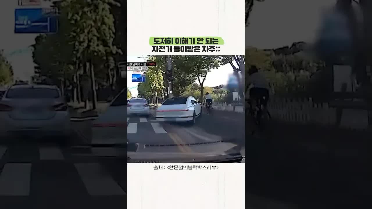 자전거 타던 사람 들이받은 차주 상황