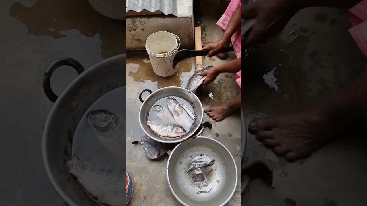 திருச்சி மீன் சந்தை அனுபவம்