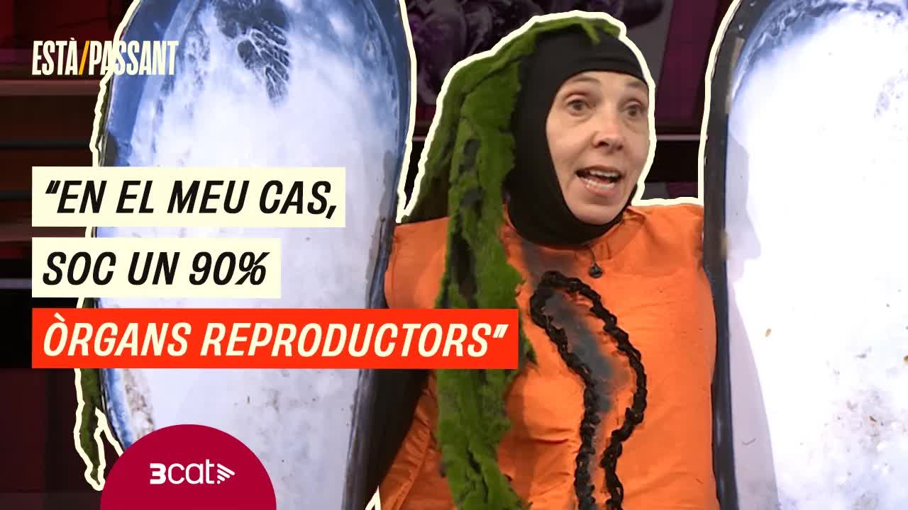 Conversa humorística sobre musclos i escalfament global