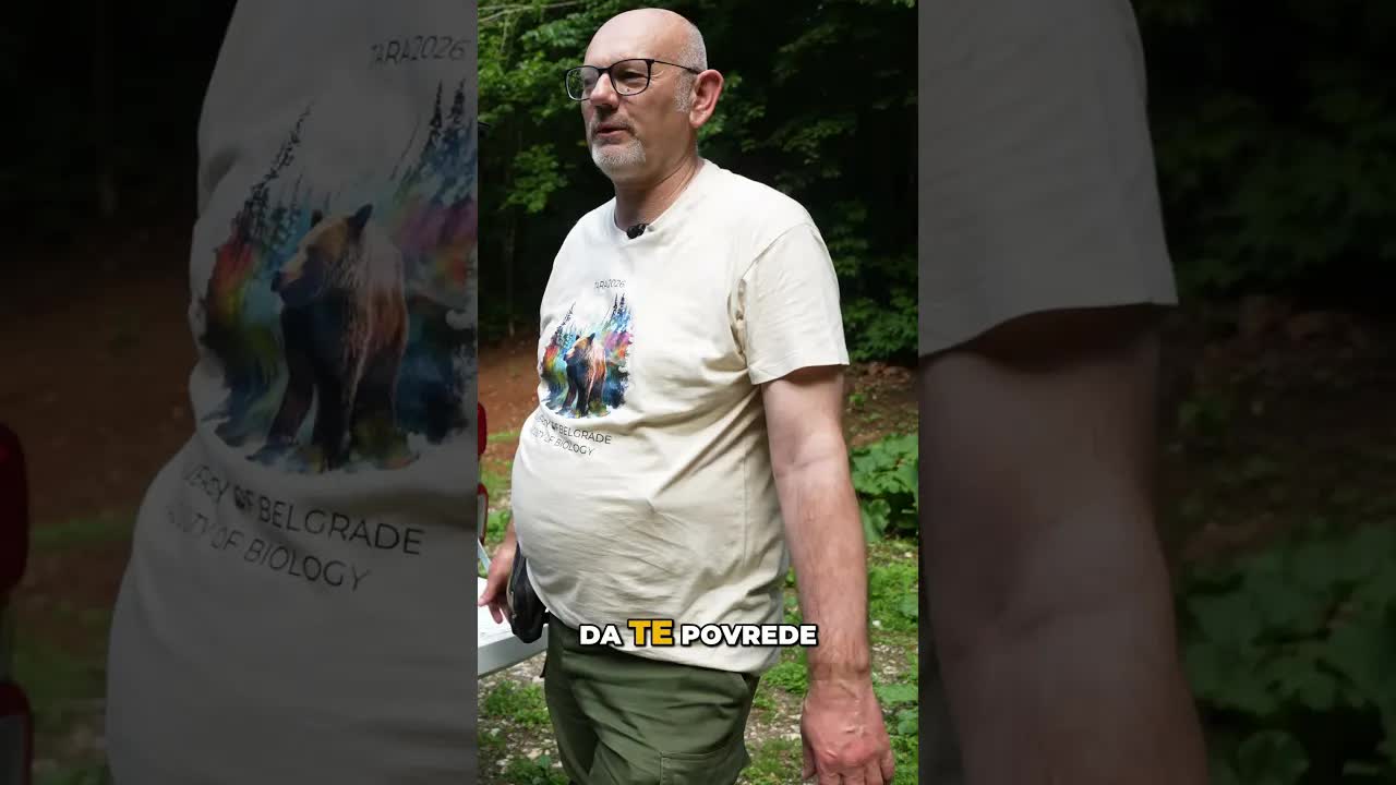 Kako se bezbedno uspava medved anestetikom