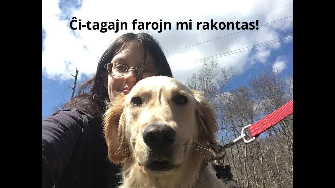 Marŝo al la banko kaj karesado de hundoj