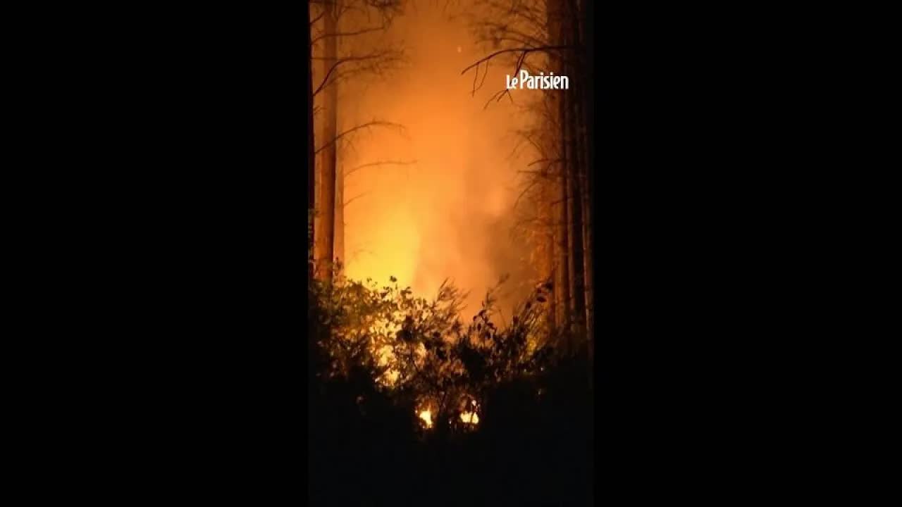 Les incendies sont-ils bénéfiques pour la forêt ?