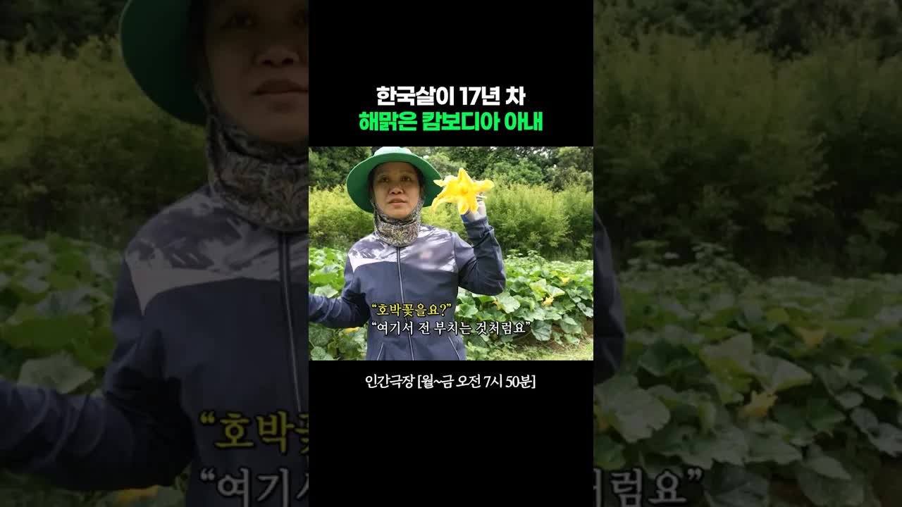종갓집 며느리 한찬라이의 일상