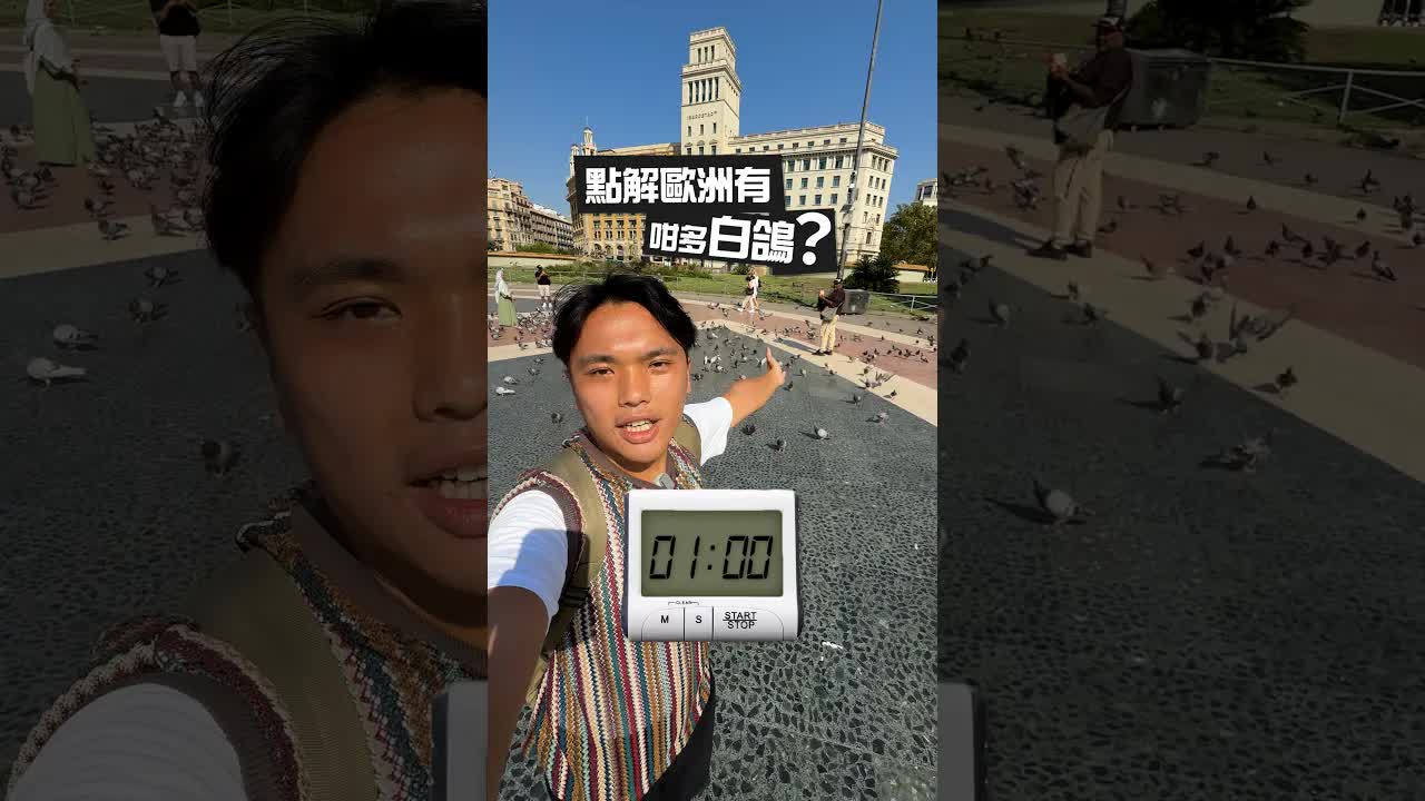 歐洲廣場白鴿多嘅原因同黑死病有關