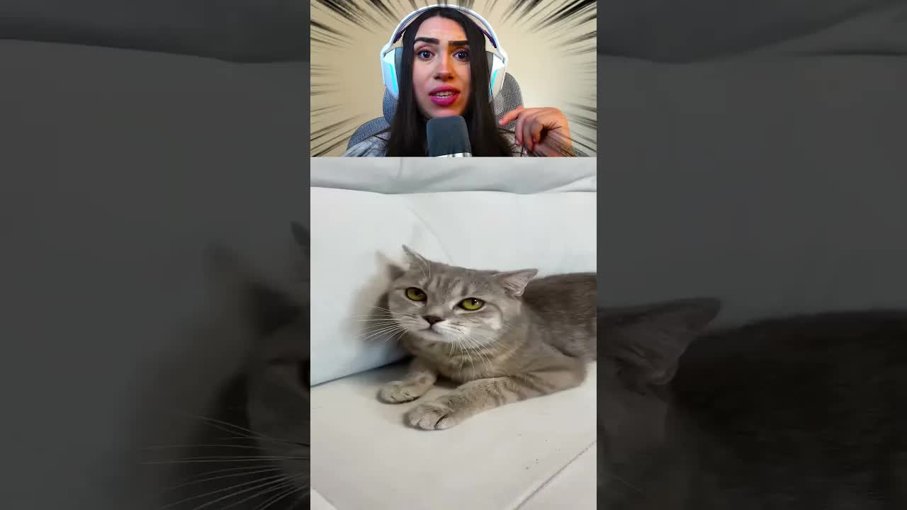 Ela escolhe o filhotinho e deixa o outro sozinho
