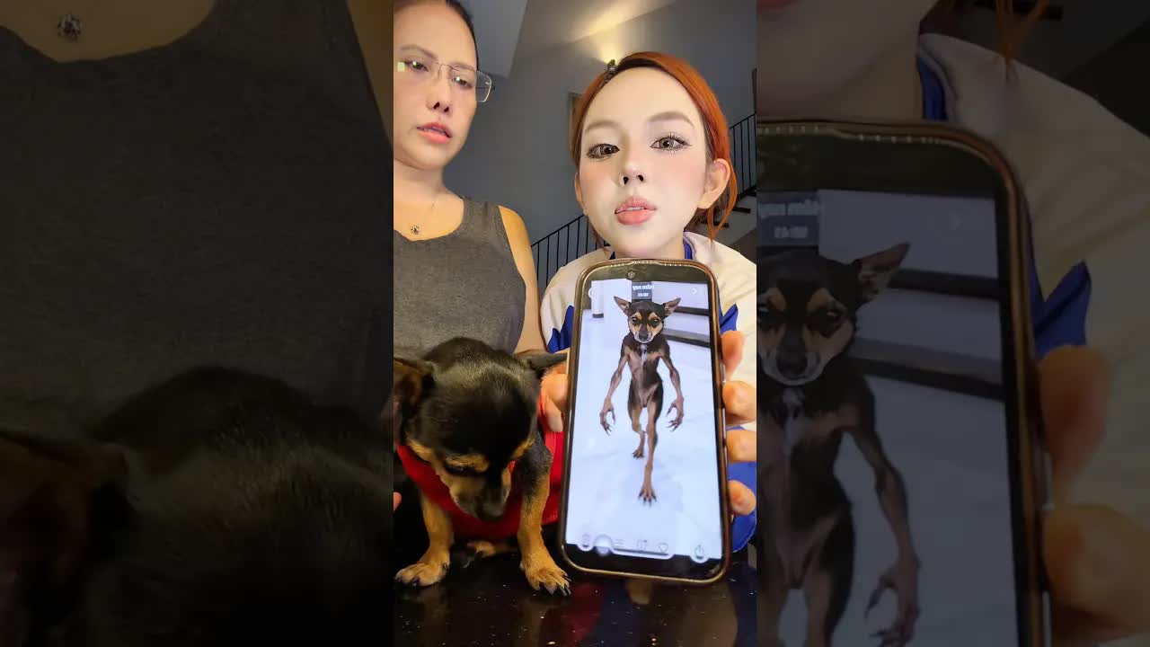 Con Skin Walker Biến Thành Cầu Thang Nhà Mình